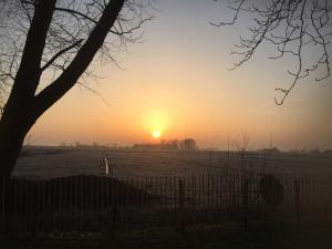 Afbeelding uit fotogalerij van Ferienhaus Kaept n Poldi 25192 in Bunde +23 foto's