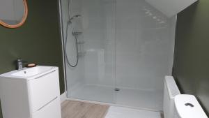 a bathroom with a shower and a toilet and a sink at Finn Loft in Ballybofey +6 photos