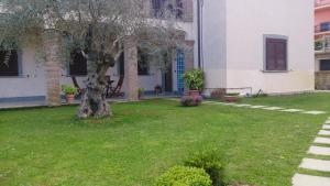 a tree in the yard of a house at B&B La Rocca in Bassano Romano