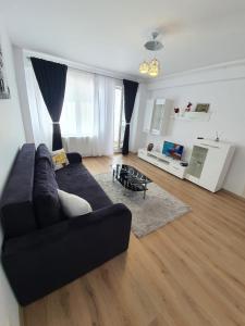 Gallery image of Apartament 3 camere militari residence in Roşu