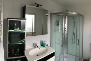 Koupelna v ubytování Ferienhaus Good Times mit eigenem Steg Ferienpark Vislust Ijsselmeer