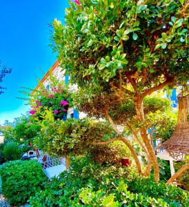 a tree in front of a house with flowers at Alacati Kayezta Hotel in Alacati