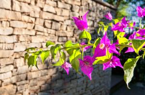 a bunch of purple flowers in front of a brick wall at Virgilio Grand Hotel in Sperlonga