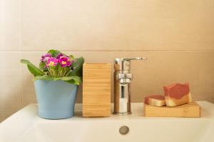 a bathroom sink with a flower pot and a faucet at PURA B&b in Noicattaro