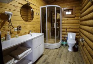 Koupelna v ubytování Комплекс відпочинку GoldFіsh Сlub + 42 fotografií