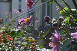 Taman di luar Hotel Ochsen Stuttgart