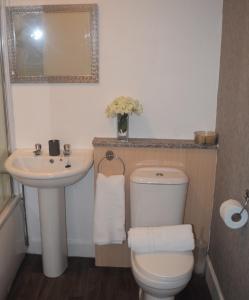 y baño con aseo y lavamanos. en Kelpies Serviced Apartments McDonald- 2 Bedrooms, en Falkirk