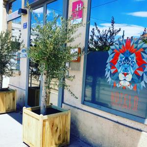 Fotografie z fotogalerie ubytování Hotelo Lyon Charité v destinaci Lyon