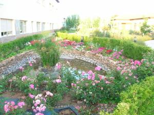 Zahrada ubytování Hotel Sierra Luz