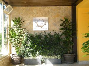 Zahrada ubytování Hotel Sierra Luz
