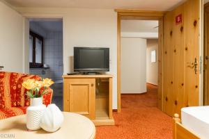 TV a/nebo společenská místnost v ubytování Landhotel Baumwipfel