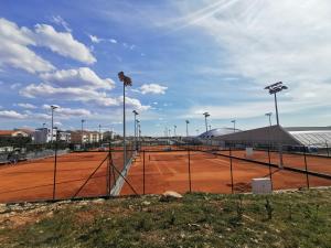 Tenis alebo squash v ubytovaní Apartment Adriatic alebo jeho okolí