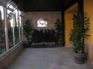Fotografie z fotogalerie ubytování Hotel Sierra Luz v destinaci Cortegana