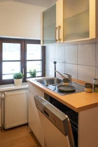 a kitchen with a sink and a counter top at Das Nordberg Apartments in Garmisch-Partenkirchen