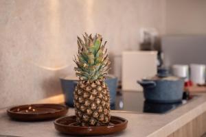 Afbeelding uit fotogalerij van Gleaming 1 BR Apt Mangroovy w Pool & Beach Access in Hurghada