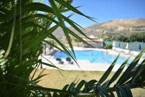 a view of a pool from behind a plant at Panorama Hotel in Falasarna