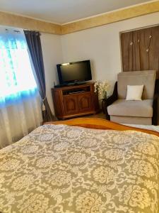 1 dormitorio con 1 cama, TV y silla en Domeniul Horj Apartament De Lux Moisei en Moisei