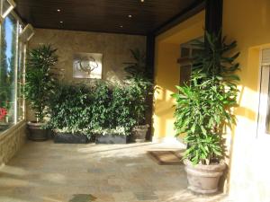 Zahrada ubytování Hotel Sierra Luz