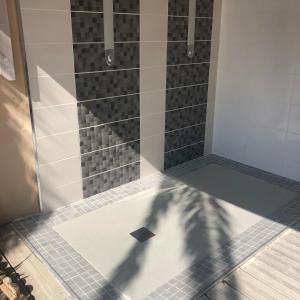 una sombra de una palmera en una ducha en FLAMANTS ROSES 2 en Frontignan