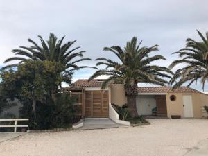 a house with palm trees in front of it at FLAMANTS ROSES 2 in Frontignan