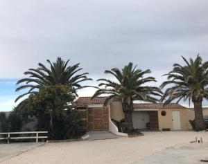 a house with palm trees in front of it at FLAMANTS ROSES 2 in Frontignan