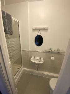 金顿The Swan Hotel的配有马桶、水槽和淋浴的浴室