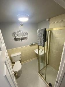 a bathroom with a shower and a toilet and a sink at The Swan Hotel in Kington