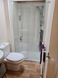 a bathroom with a toilet and a shower at Deer lodge in Auchterarder