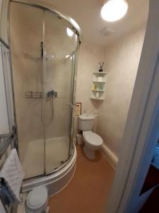 a bathroom with a shower and a toilet at The Edenhurst Guesthouse in Weymouth