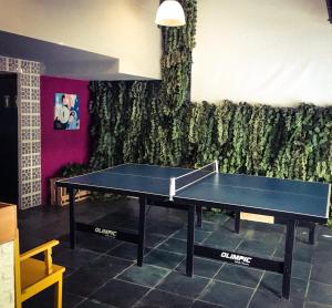 a ping pong table in front of a green wall at Viva Hostel Design in São Paulo