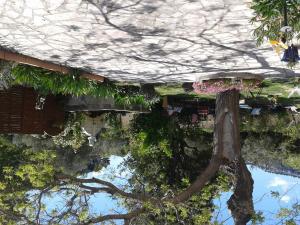 a reflection of a tree in a pool of water at B&B Le Clos des Cigales in Cassis