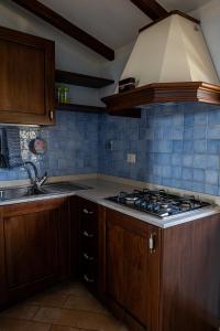A kitchen or kitchenette at Agriturismo Mercurio