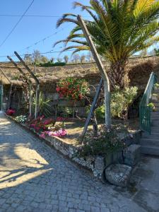 a garden with flowers and a palm tree and a staircase at Quinta Casa Do Quintal in Lamego
