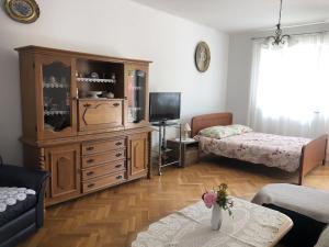 TV a/nebo společenská místnost v ubytování Apartment LANKA