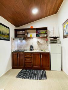 a kitchen with a refrigerator, sink, and cabinets at Casa Donna Rosa B&B in Nuevo Arenal