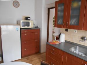 Kuchyň nebo kuchyňský kout v ubytování Apartmán Pod Hradem