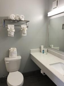 a bathroom with a toilet and a sink and a mirror at Sky Palace Inn By Jasper Near AT & T Center in San Antonio