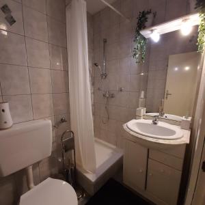 Koupelna v ubytování Apartment Invictus
