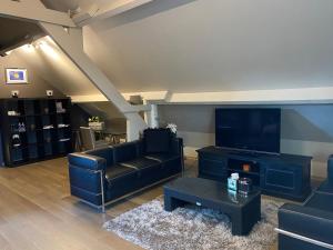 sala de estar con sofás y TV de pantalla plana. en Cosy Studio met Zwembad, en Beringen