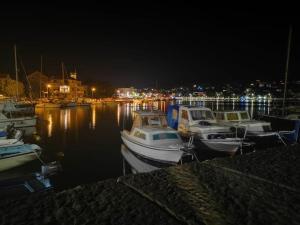 a group of boats docked in a marina at night at Apartment Dante in Tisno