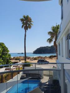 a beach with palm trees and palm trees at Belle Mer Beachfront Apartments - Self Serviced in Mount Maunganui