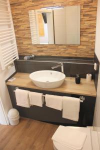 a bathroom with a sink and a toilet and a mirror at Am Blumenhaus in Bamberg