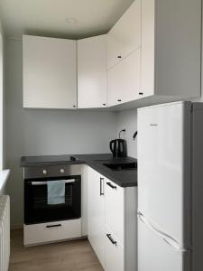 Nhà bếp/bếp nhỏ tại Apartment Riia mnt 88