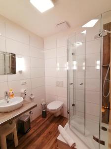 a bathroom with a shower and a toilet and a sink at Gasthof Hotel Weinbau "Zum Goldenen Ochsen" in Sommerhausen