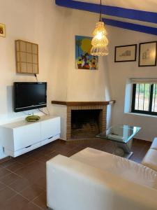 Una sala de estar con televisión y chimenea. en Finca Rústica Los Borrachos, en Ayamonte 14 fotos más