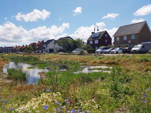 un village avec des maisons et un champ de fleurs dans l'établissement Mooi zo 1, à De Koog