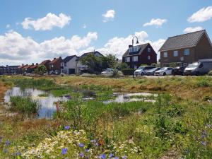 a village with houses and a field with flowers at Mooi zo 1 in De Koog