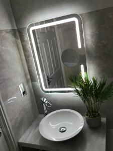 a bathroom with a sink and a mirror and a plant at Sunrise View 2 Bed Apartment Sleeps 4 Spa Bath in Bridlington