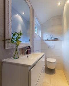 a bathroom with a sink and a toilet and a mirror at Vakantiewoning met privé sauna in Schoorl