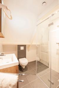uma casa de banho com um WC e uma cabina de duche em vidro. em Appartement Parkweg em Bergen aan Zee